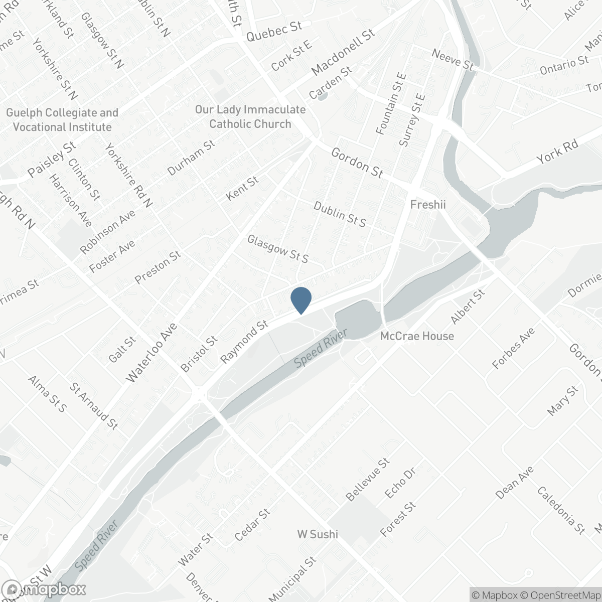 67A RAYMOND Street, Guelph, Ontario N1H 3S4